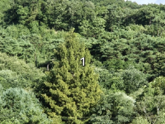 목록 1