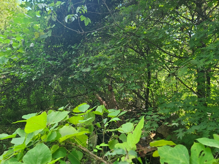기호(1)토지
