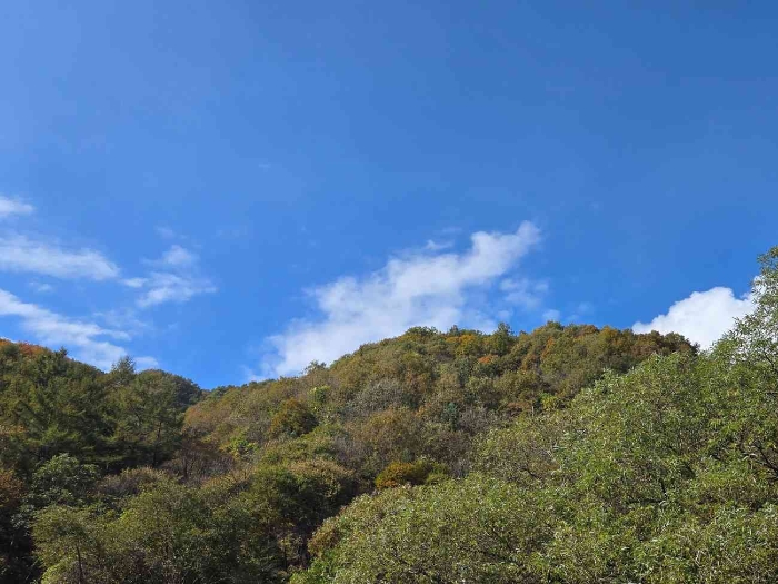 제시 목록 부동산