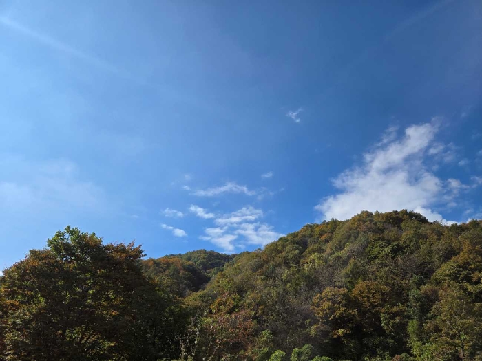 제시 목록 부동산