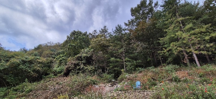 본건 전경