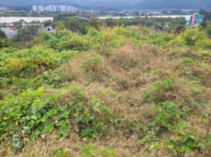 목록5.