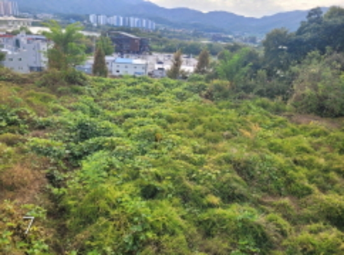 목록7.