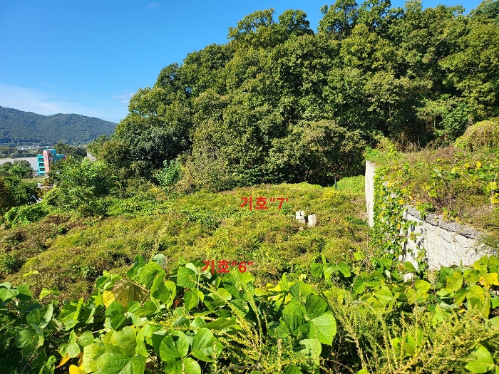 본 건 기호"6,7" 전경(남동측에서 촬영)