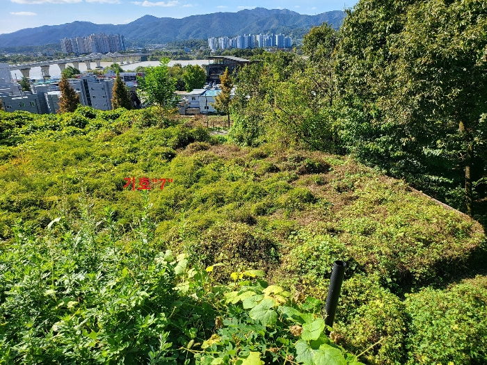 본 건 기호"7" 전경(북측에서 촬영)
