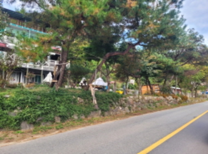 목록2. 제시외 정원수