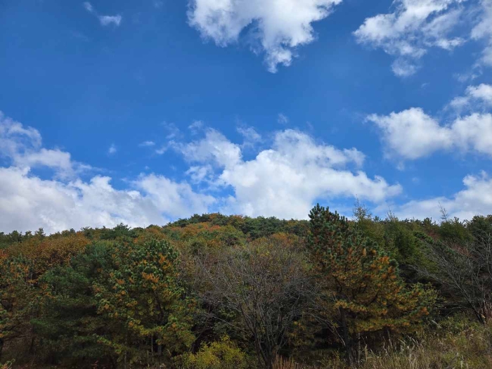 제시 목록 부동산