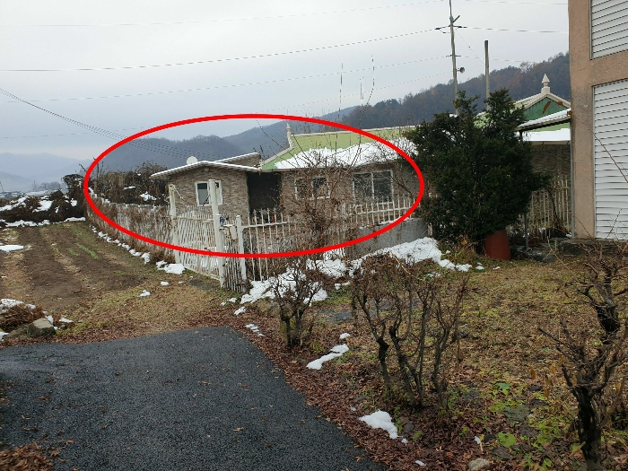 비교표준지