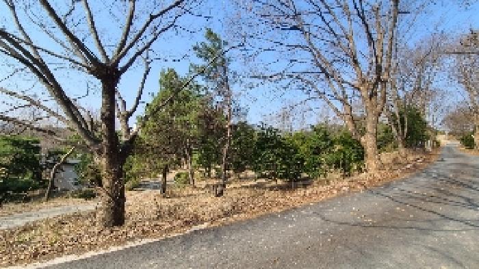 목록 5.