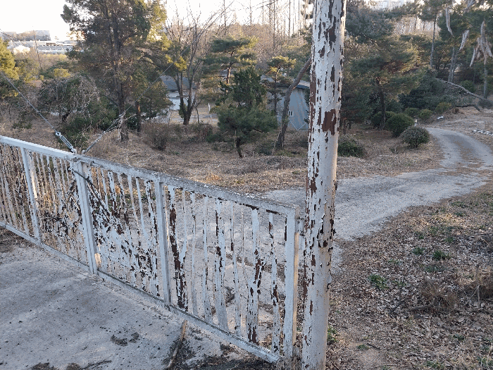 기호(6) 전경