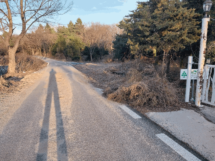 기호(8) 전경