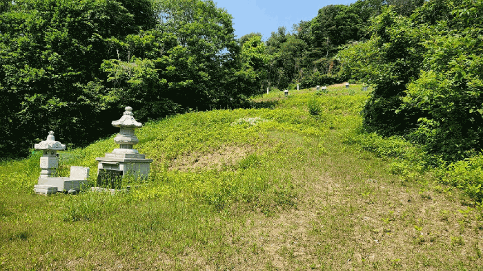 기호(3) 소재 분묘 전경