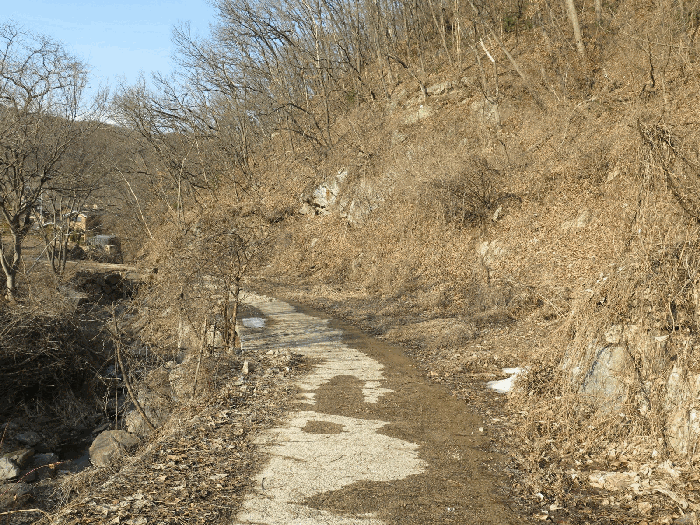 본건 기호2 남서측 접면도로 전경(본건 남서측 인근에서 촬영)