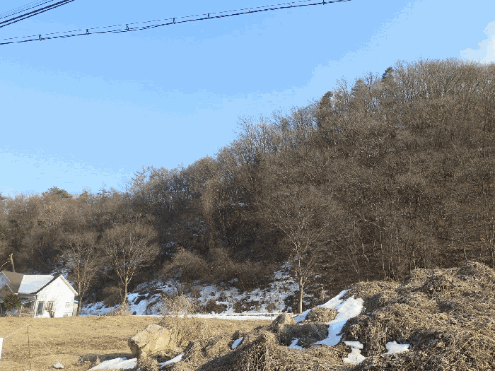 본건 기호2 북측부분 전경(본건 북서측 인근에서 촬영)