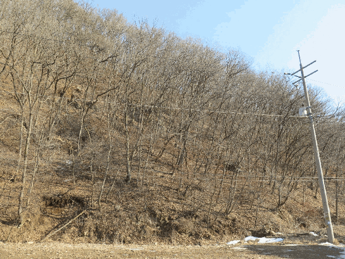 본건 기호2 중앙부분 전경(본건 서측 인근에서 촬영)