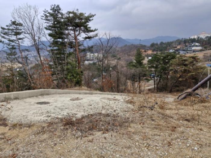전경