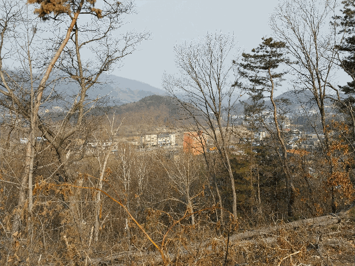 본건에서 서종면사무소 방향 촬영