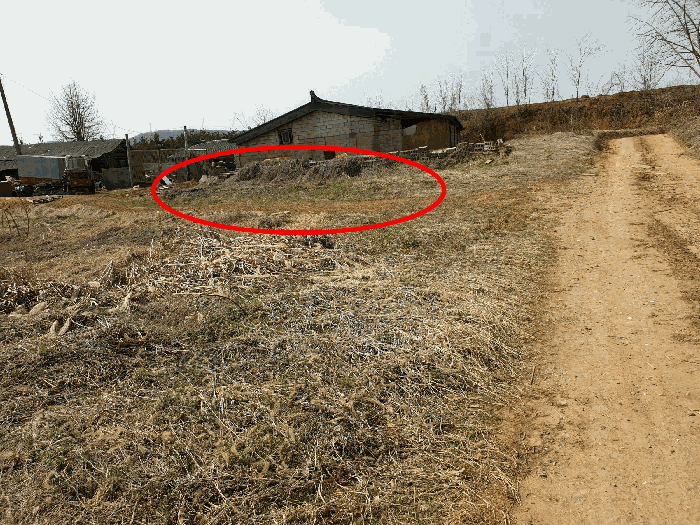 본건(남동측에서 촬영)