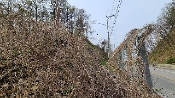 목록2. 건물 부존재(대지 전경)