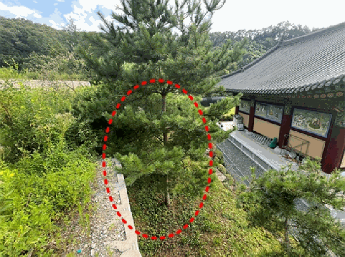 기호(3)토지 동측일부 타인점유부분