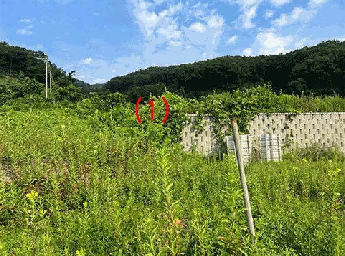 기호(1)토지 동측에서 촬영