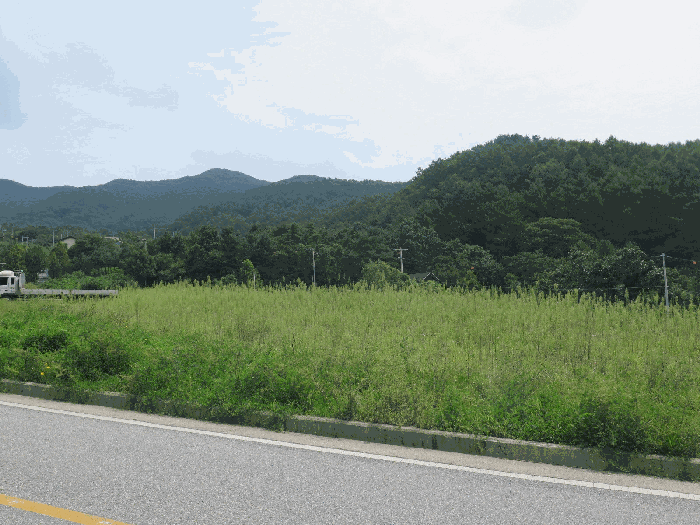 본건전경(본건북서측 인근에서 촬영)