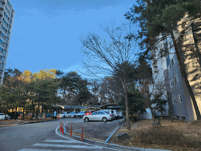 단지 내 전경