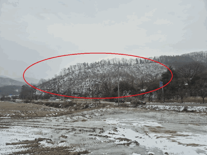 본 건(북서측에서 촬영)