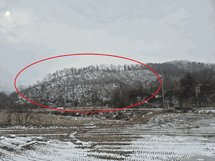 본 건(북측에서 촬영)