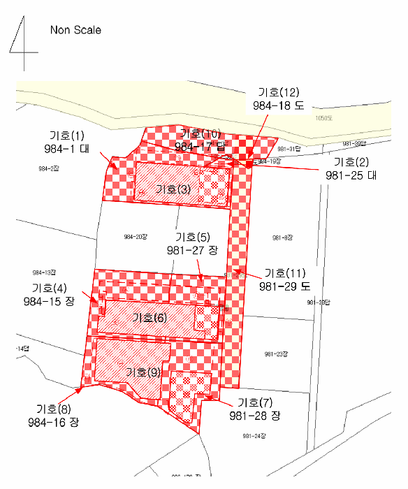 지적 및 건물개황도
