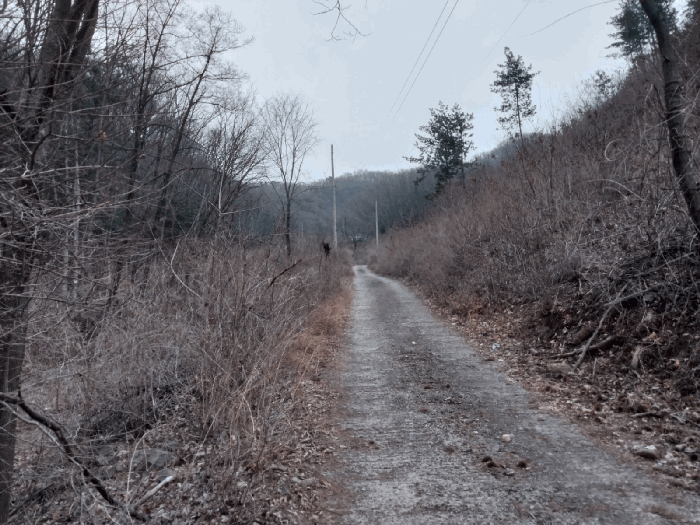 기호1, 3 전경