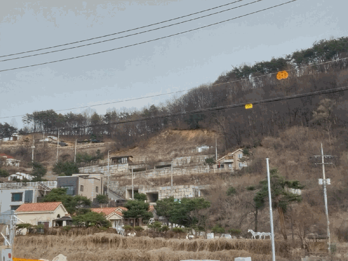 본건 전경