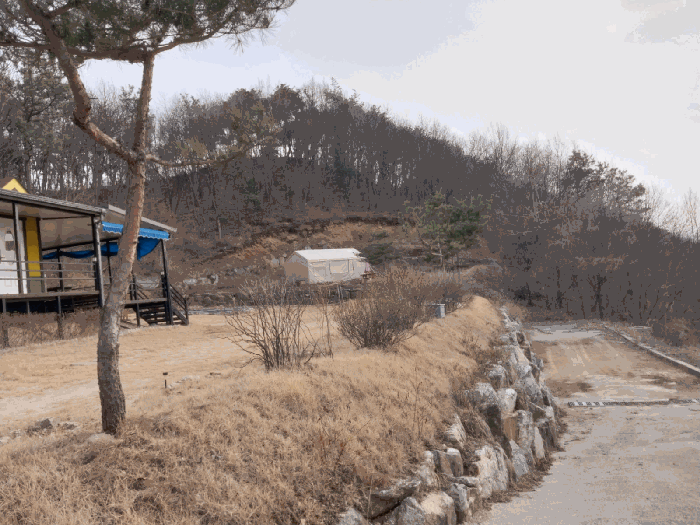 제시외 축대 및 수목