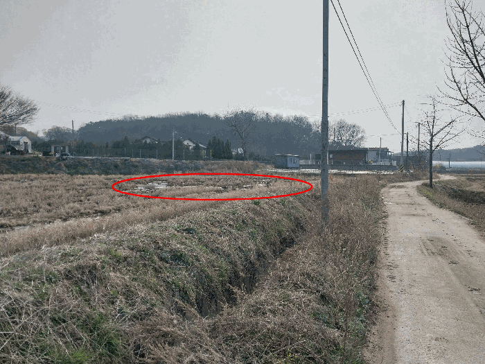 북서측에서 촬영