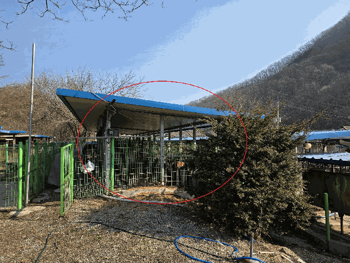 제시외건물(ㄹ) 전경(남측에서 촬영)