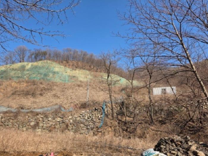 목록4. 임야