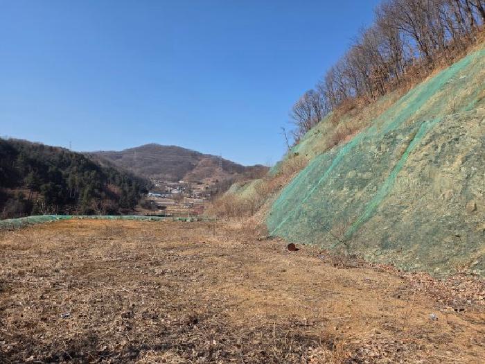 목록4. 임야