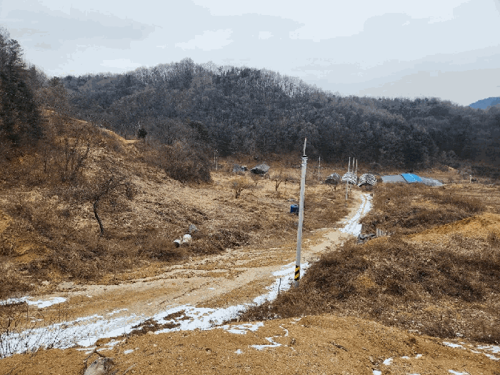 남측에서 촬영(본건 전경)