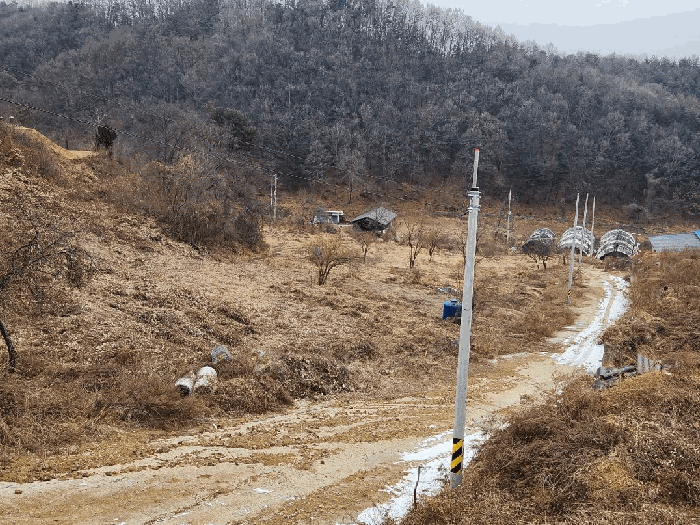 남측에서 촬영