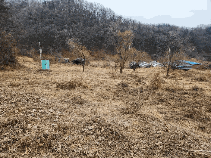 남측에서 촬영