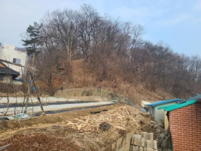 목록1. 임야 및 지상 제시외 수목