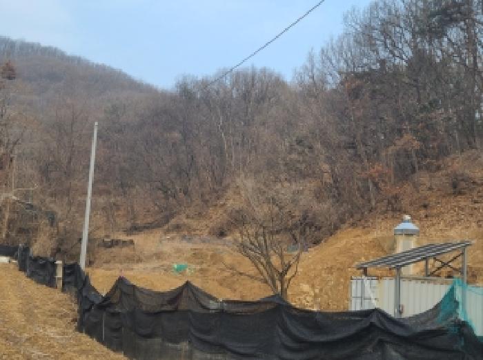 목록1. 임야 및 지상 제시외 수목