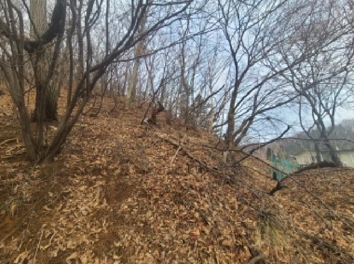 목록2. 토지 및 지상 제시외 수목