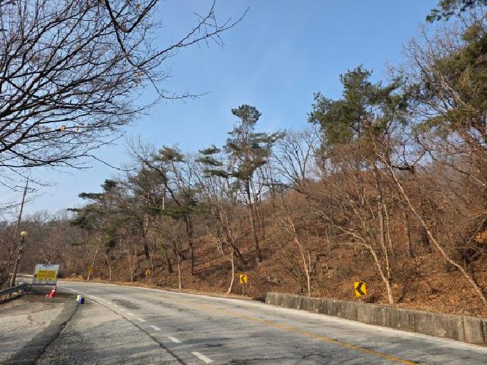 본건 임야
