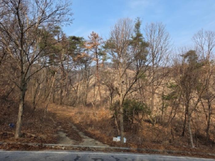 본건 임야