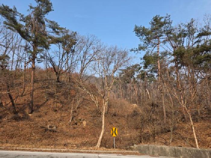 본건 임야