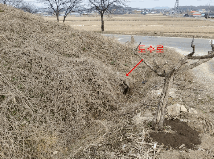 5.기호(1) 남측 경계부분
