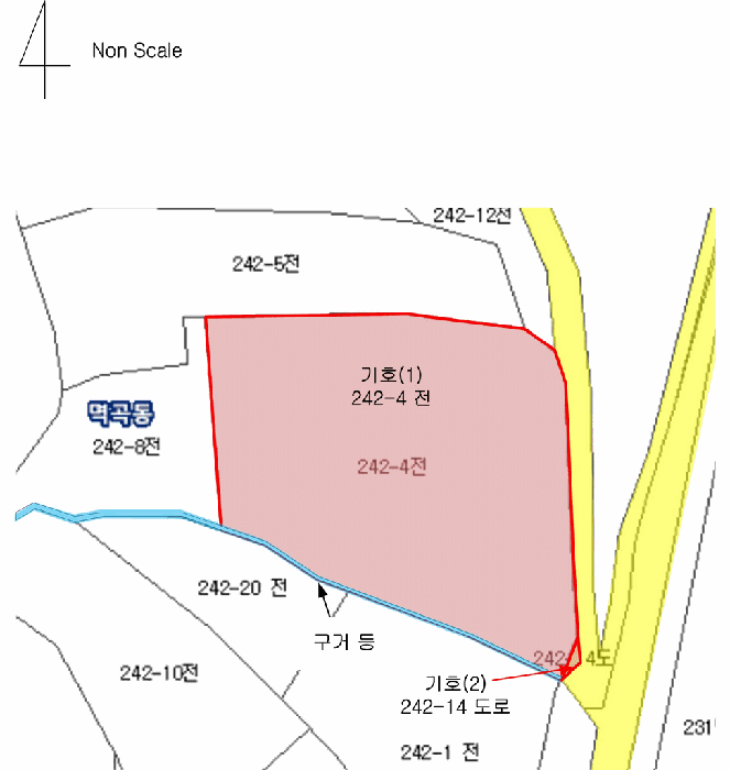지적 및 건물개황도