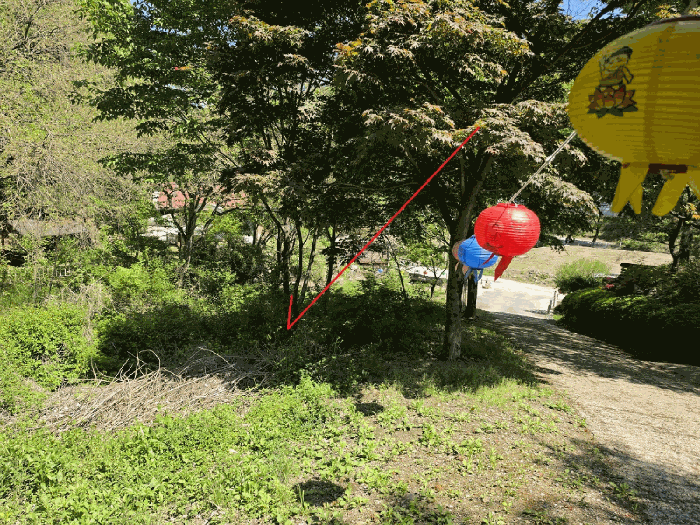 기호(1) 전경(북서측에서 촬영)