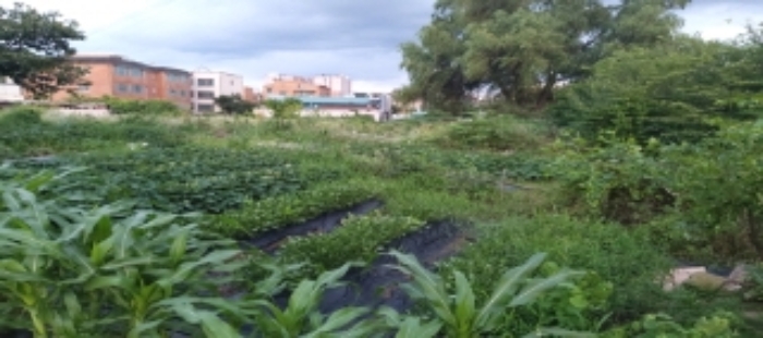 목록2. 부동산 전경